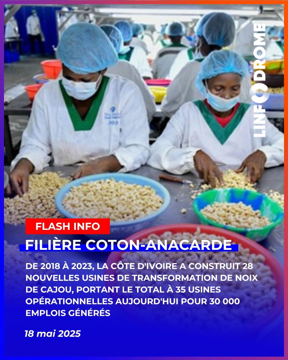 Linfodrome's tweet image. De 2018 à 2023, la Côte d'Ivoire a construit 28 nouvelles usines de transformation de noix de cajou, portant le total à 35 usines opérationnelles aujourd'hui. 

Cette expansion a généré 30 000 emplois, renforçant ainsi l'industrie locale et l'économie nationale. 

#NoixDeCajou