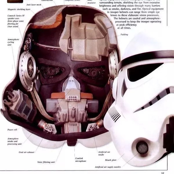 Evan Bull tweet media