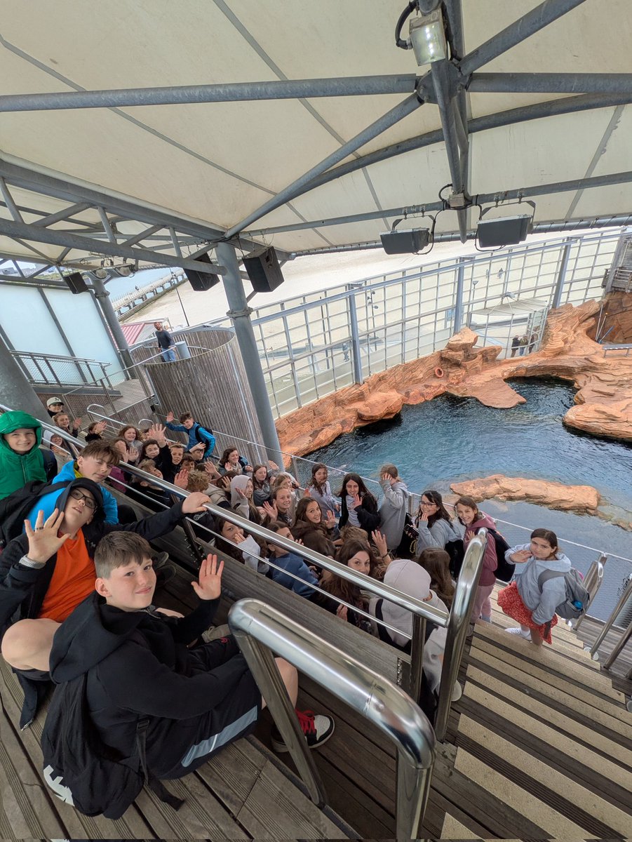 Aston Fields MS tweet media