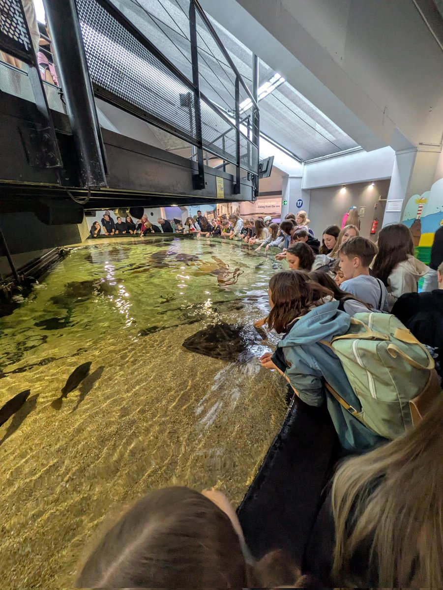 Aston Fields MS tweet media