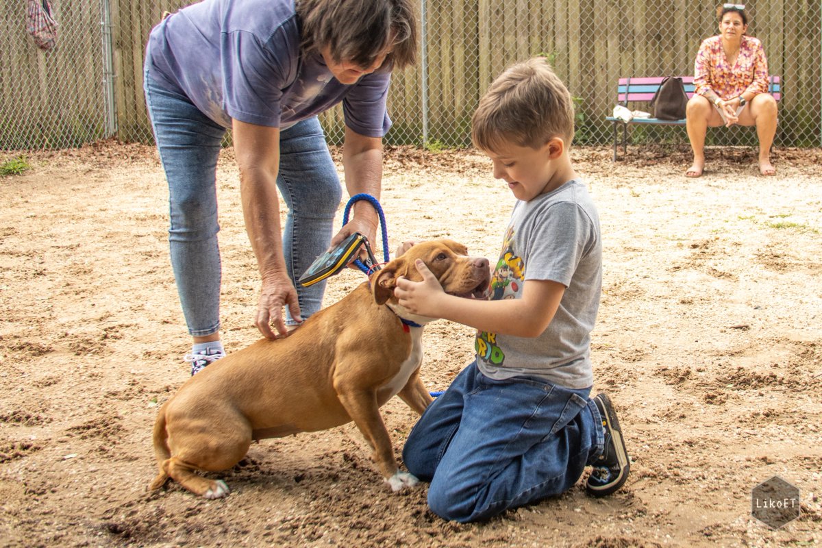 Liko_ET's tweet photo. Gulf Coast Pet Adoption Festival at the Escambia County Animal Shelter, presented by @CumulusMedia.

📸@Liko_C https://t.co/bayUcRg6zC