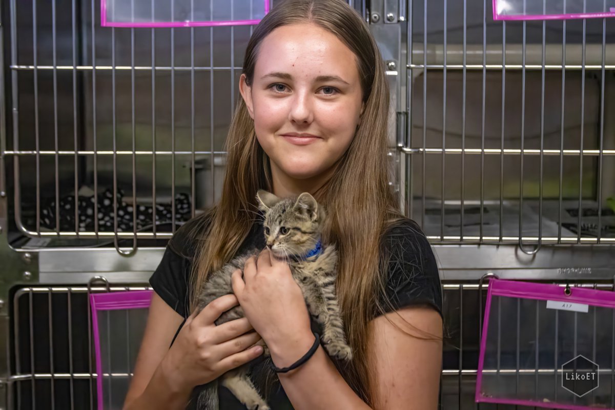 Liko_ET's tweet photo. Gulf Coast Pet Adoption Festival at the Escambia County Animal Shelter, presented by @CumulusMedia.

📸@Liko_C https://t.co/bayUcRg6zC
