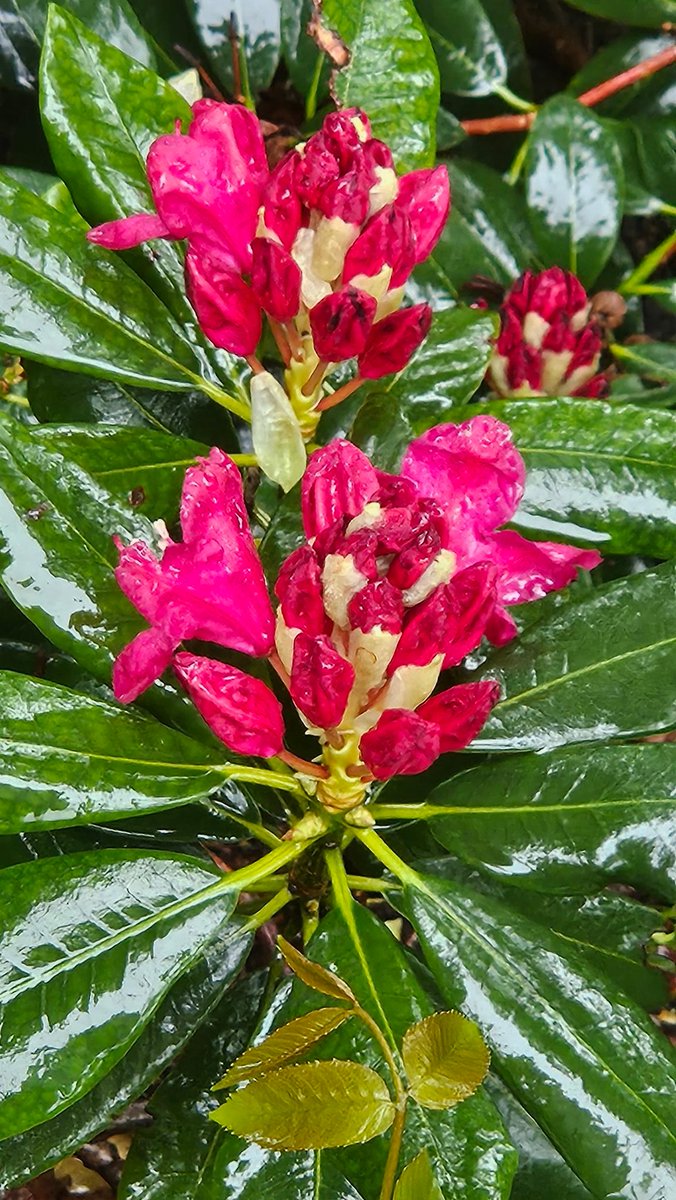 Beata Moskal-Słaniewska tweet media