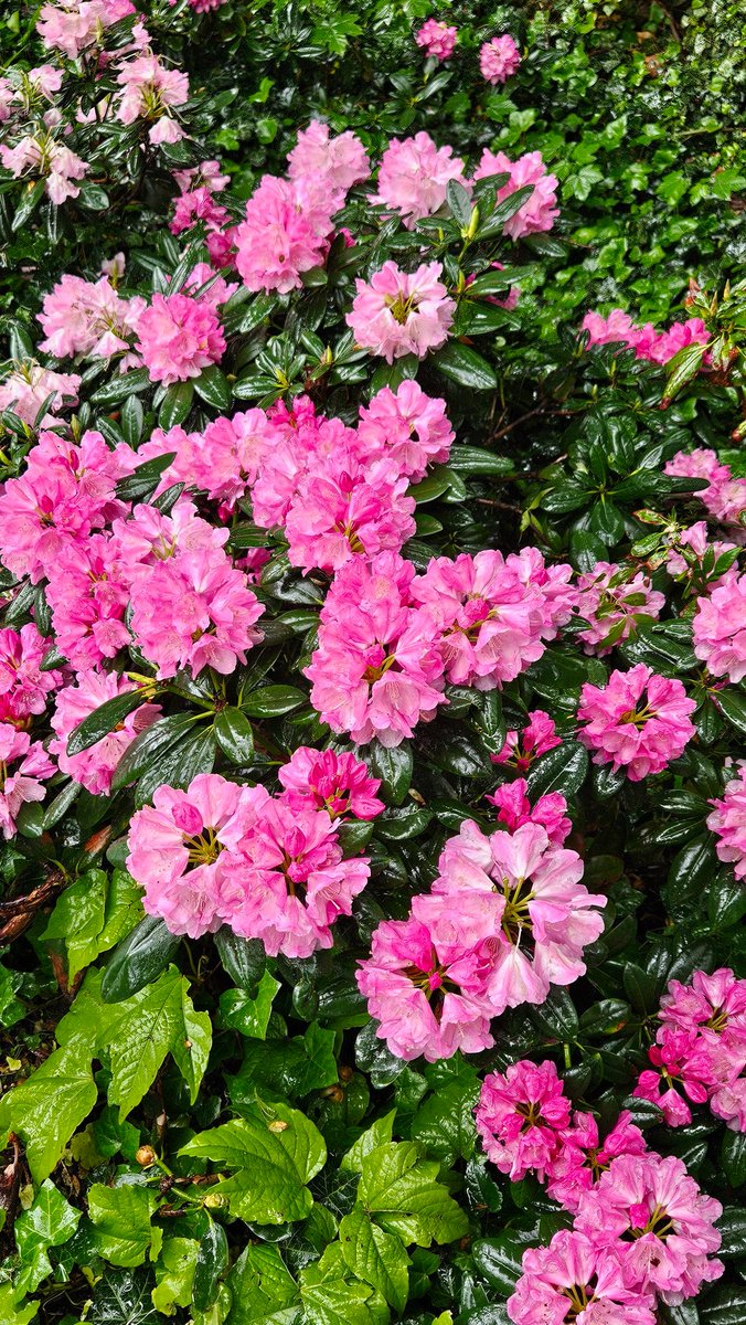 Beata Moskal-Słaniewska tweet media