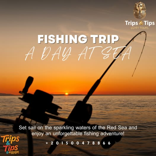 TRIPS_TIPS11's tweet photo. π£ Fishing trip in Hurghada! Sail, catch, swim & chill on the Red Sea πβοΈ
π² 01500478866 | π https://t.co/DtRhqIemDl
#FishingTripHurghada #RedSeaAdventure #Hurghada https://t.co/BtxL8zFdIa