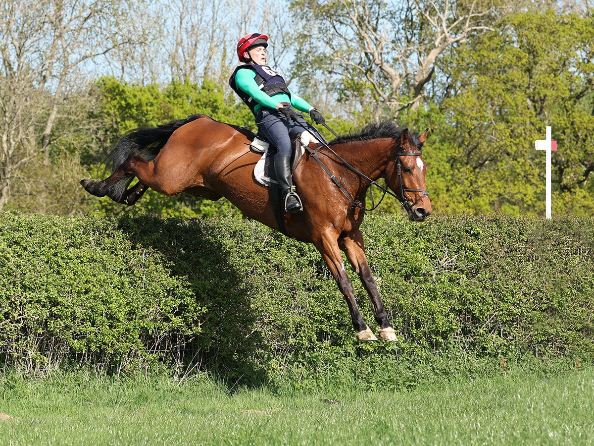 stiofaindillon's tweet photo. Cloonebridge Chocoa - new young horse getting to grips with the Uk countryside in the Wynnstay Hunt race . https://t.co/WFmNmweB8U