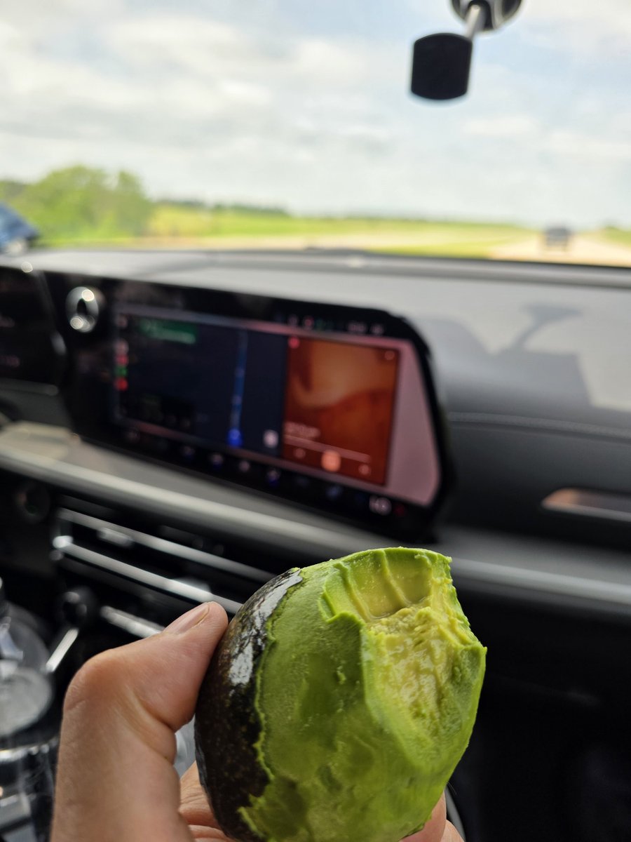 Kansas storm chase tradition.  Road guacamole warning in effect.  #severeweather