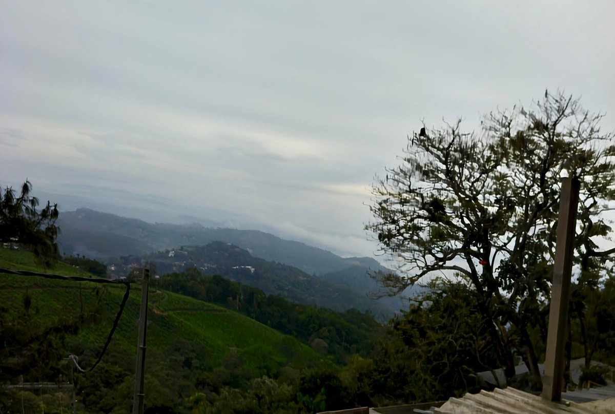 VsRevathy's tweet photo. #munnar 🥳 https://t.co/OYE6q6oWHn