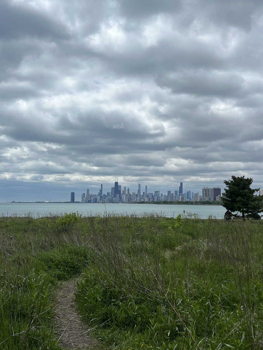 Visited the Montrose Bird Sanctuary this weekend with friends. Added Magnolia Warbler, Canada Warbler, Wilson's Warbler as lifers! So beautiful. Warblers don't seem to come to the farm so this was very exciting for me!!!!☺️