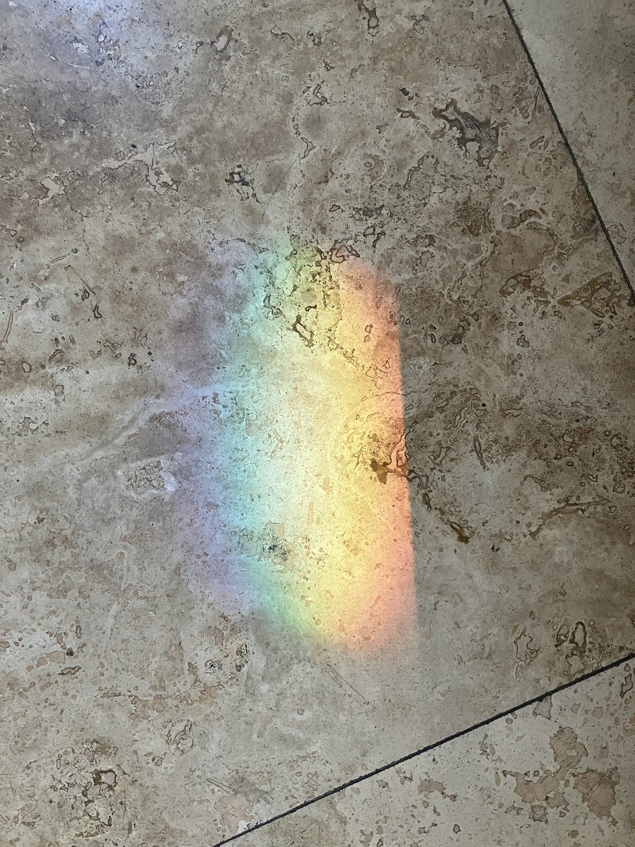The sun decided to paint my kitchen floor this morning.