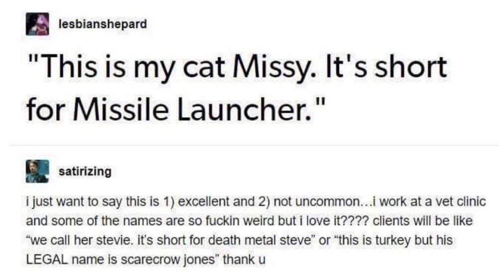 WholesomeMemes (@wholesomememe) on Twitter photo 