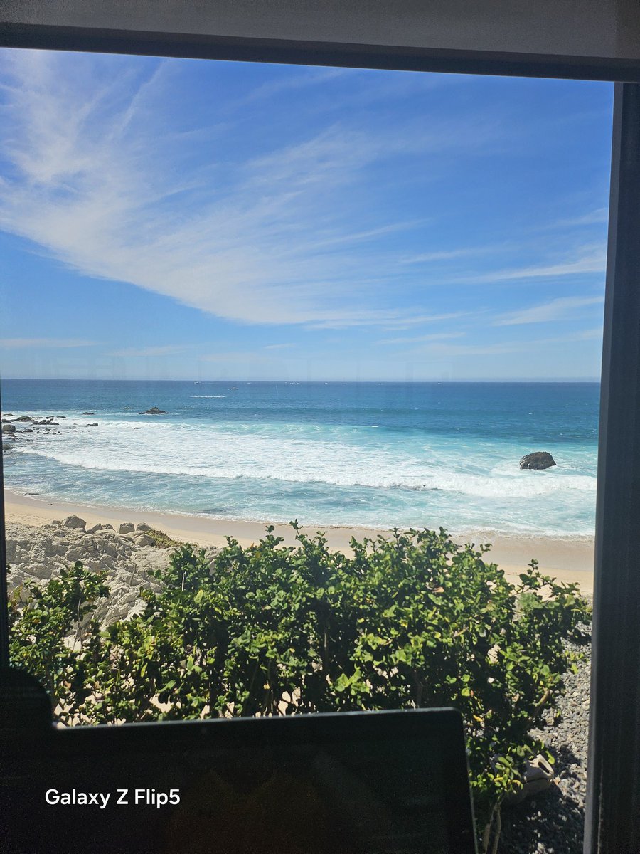 Sybarite tweet media