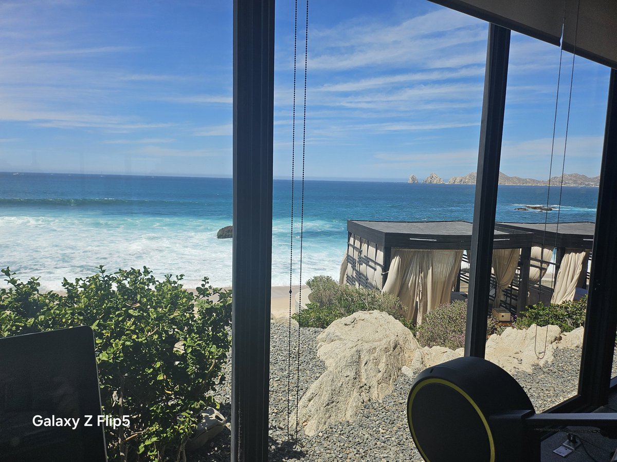 Sybarite tweet media