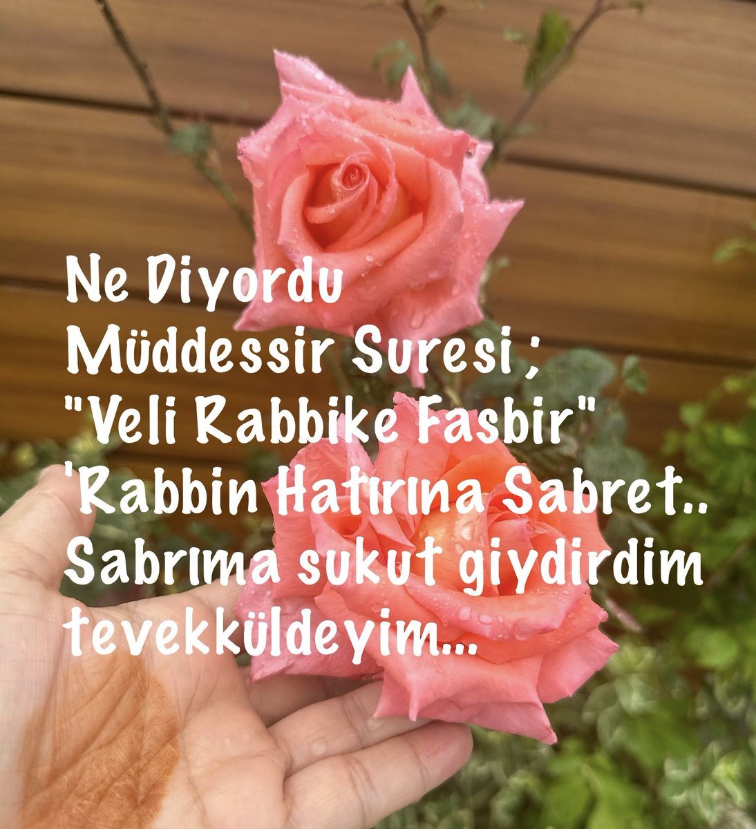 Sabrıma sükût giydirdim tevekküldeyim.#sabır