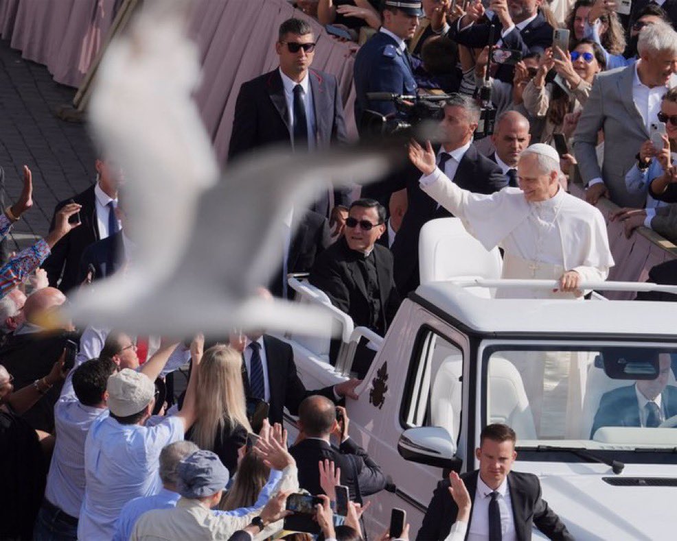 Hoy ha vuelto la gaviota…