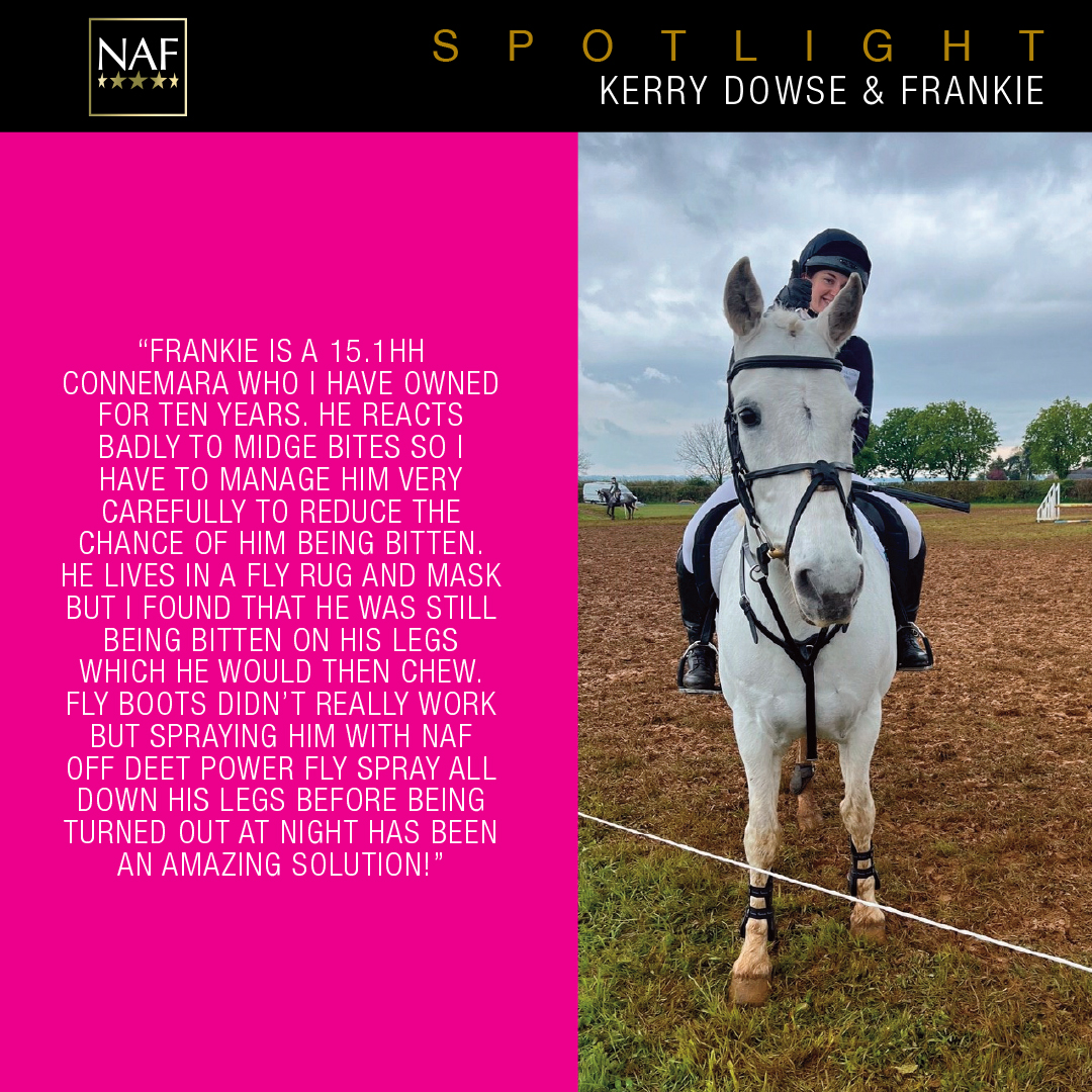 Our #NAFSpotlight shines on Kerry Dowse &amp; her lovely Connemara Frankie. Kerry told us, 'Spraying him with NAF Off Deet Power... has been an amazing solution..' Have you tried our NAF Off Spray &amp; Gels yet? Comment below! 👇