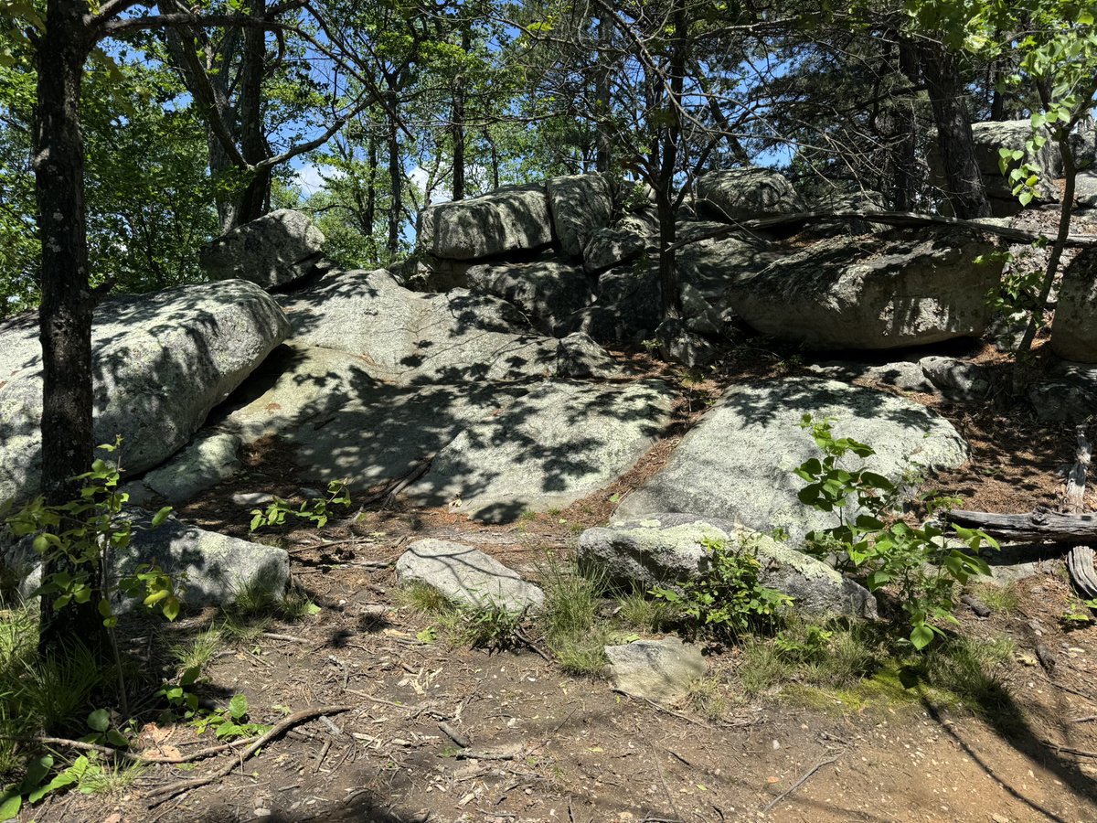More of Sugarloaf