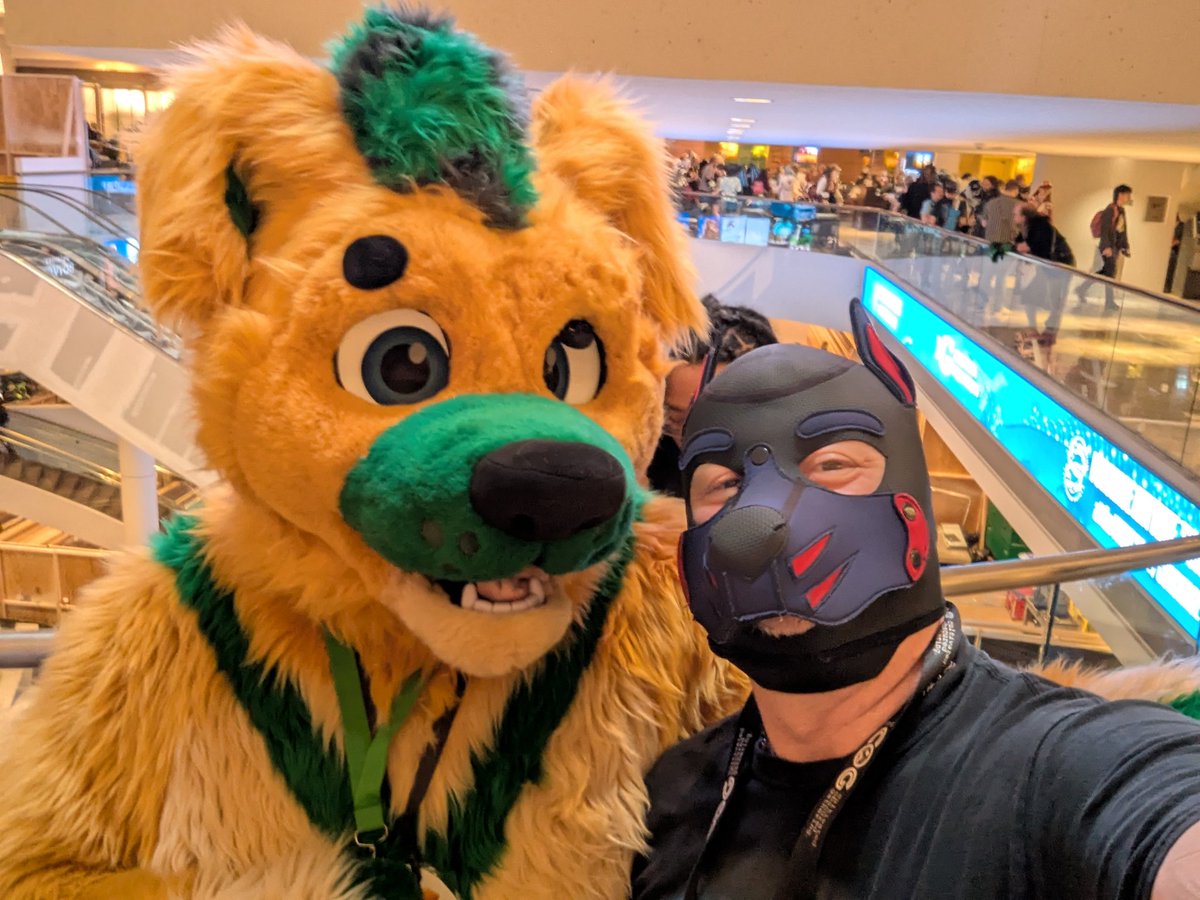 Bouncerthepup's tweet photo. Dogging around at #fwa2025 snapping photos with some cuties
@PupHunter3 @JodiraHorsey @BDawgTheHusky @Caribumms and Ludo https://t.co/pE72FDAKMC