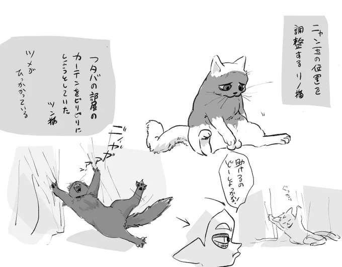 ぽじ 