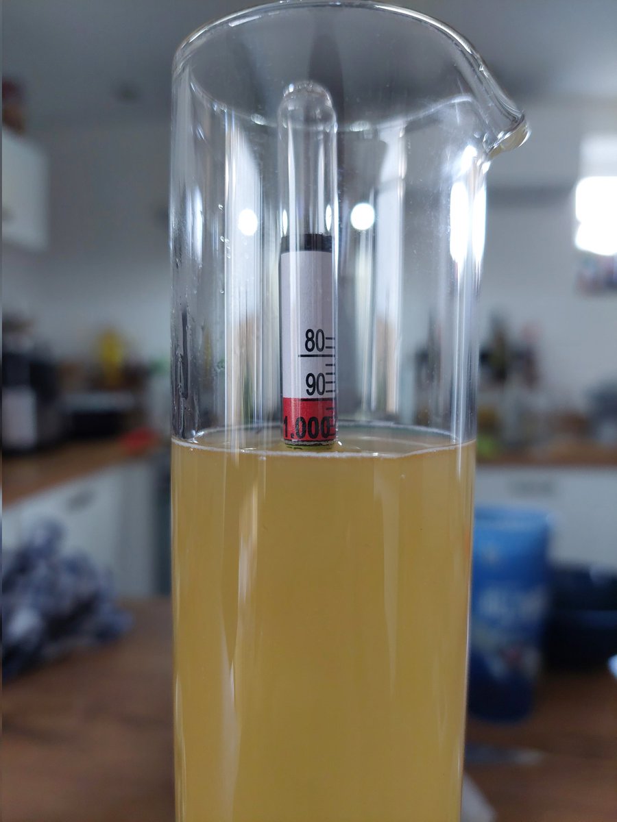 CraftBeerUni's tweet image. I was just measuring the latest blonde beer that I made. Color is amazing, and so is the scent. I added some extra orange zest for a fruity flavor, and it's giving off all the right tones. 

It will be around 8% percent when I'm finished.

#craftbeer #beer #brewmaster #cheers