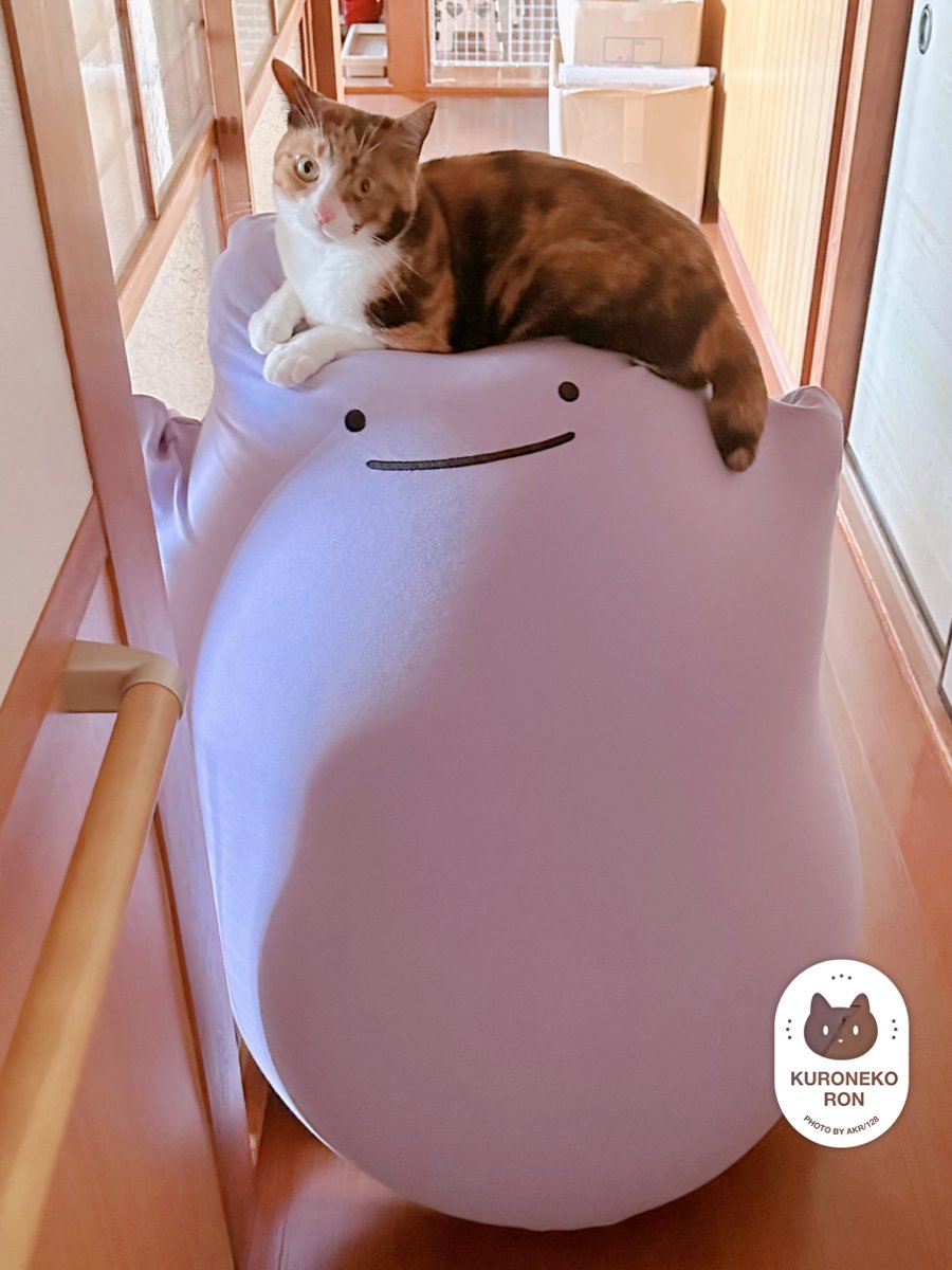 メタモンも人間が座ってるときより嬉しそうだった