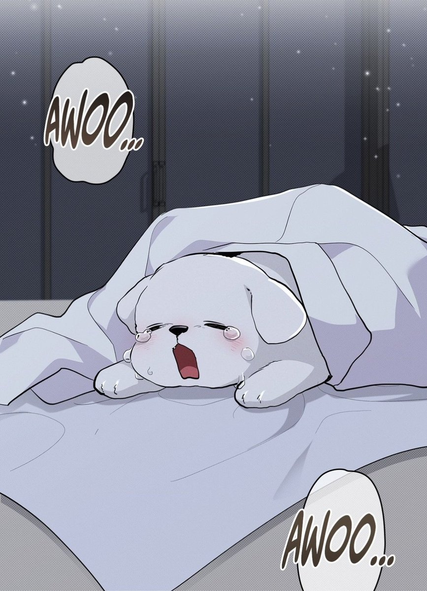 🌿chai🍃 tweet media