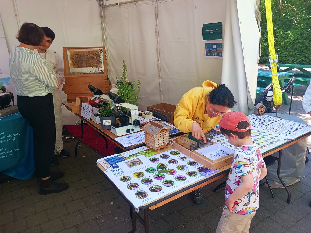 NJBBrereton's tweet image. Wonderful to see the @ucddublin 🐝ProBee team @DublinZoo at a sunny native species festival today. @UCDSBES phd students sharing bee conservation tales to all comers.

Last day tomorrow dublinzoo.ie/event/native-s…
#dafm