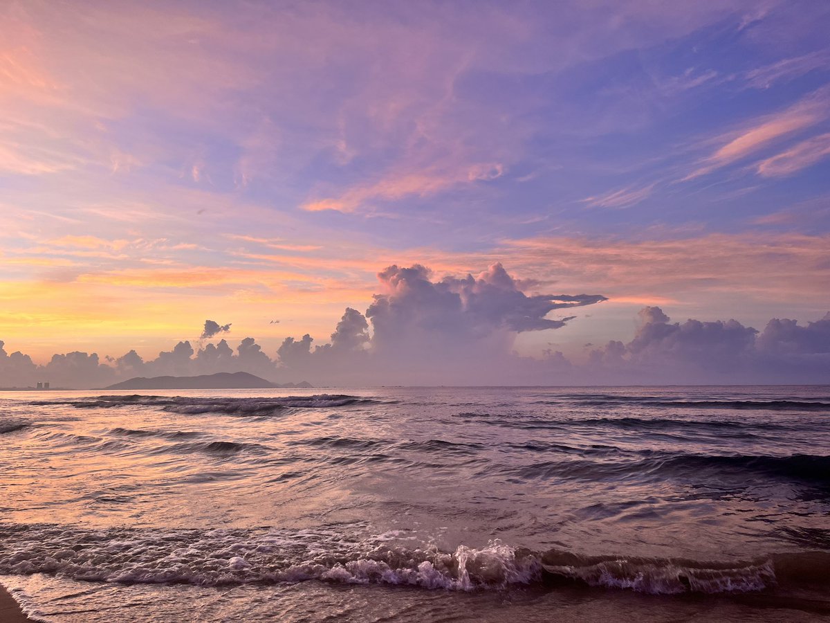 大风硨 tweet media