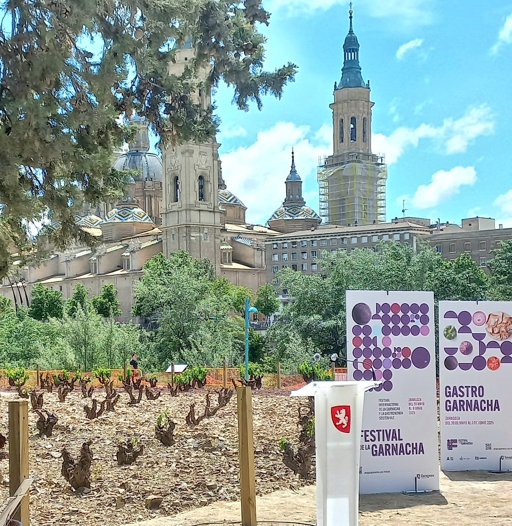 Susana Munilla Mtnez tweet media