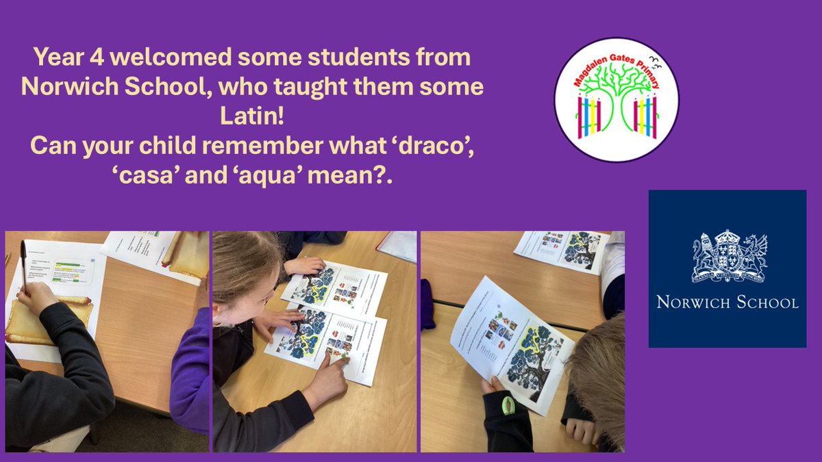 Magdalen Gates (@magdalen_gates) on Twitter photo 