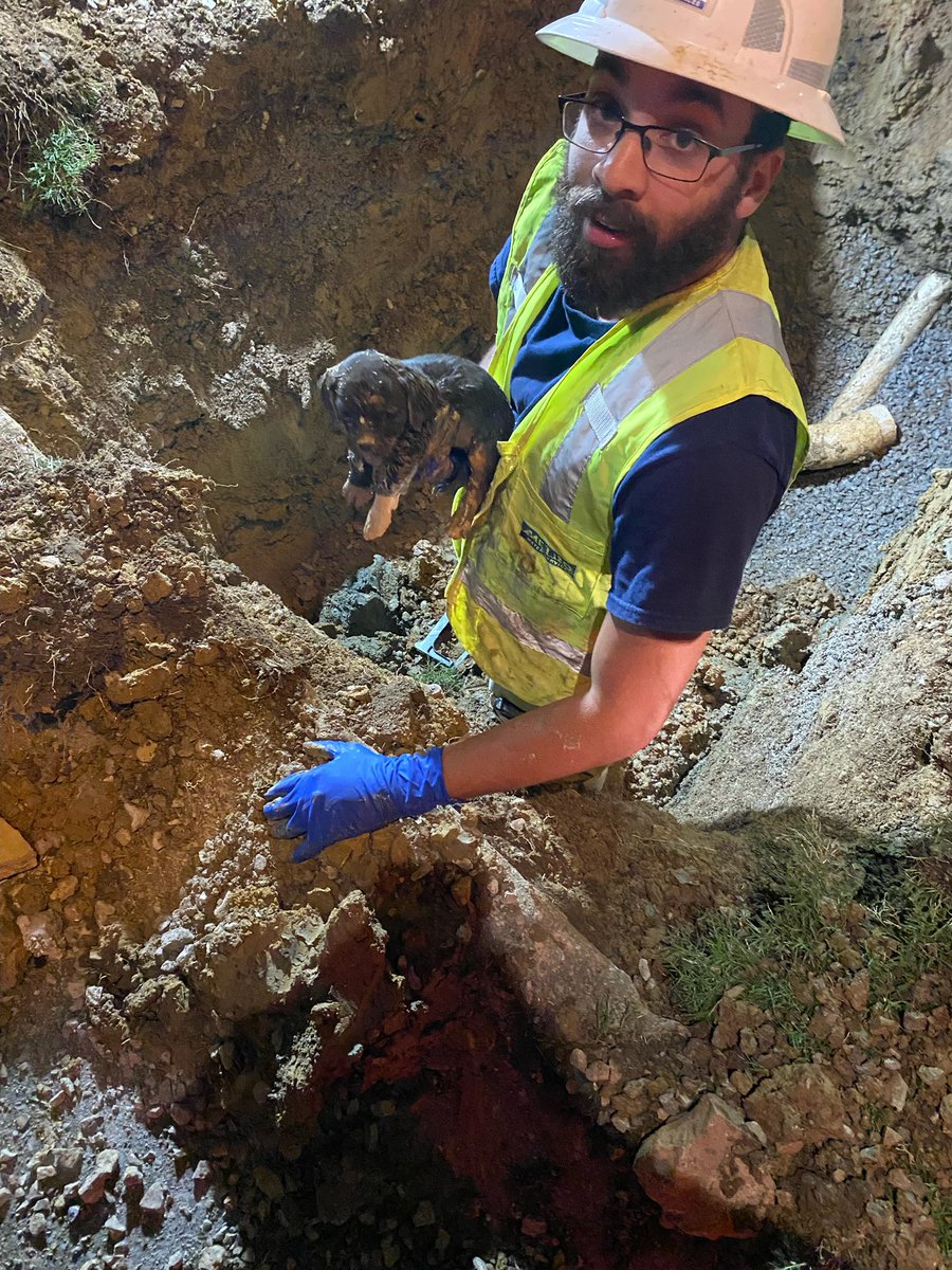 MWS rescued this little cutie from the sewer last night. An uncapped sewer clean-out allows things that shouldn’t be in the sewer to enter it, such a rain, rocks or puppies. If your sewer clean-out cap is missing or has been damaged, be sure to replace it.