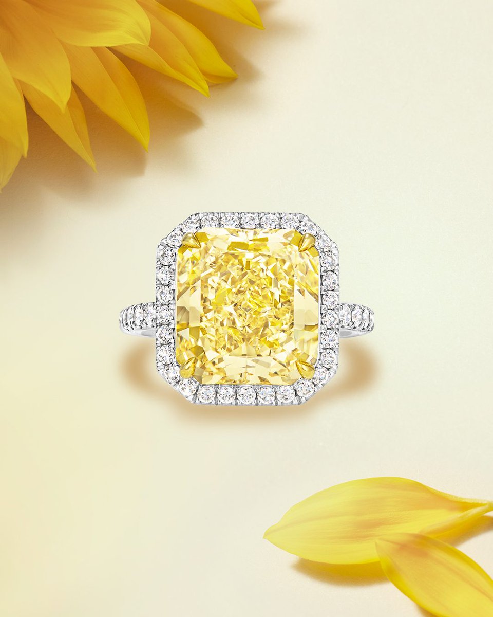 Celebrate the season of renewal with luminous designs that reflect the tender warmth of May sunshine. Schedule an appointment to learn more about exquisite high jewelry rings: harry-winston.visitlink.me/v5NFI2 #HarryWinston #WinstonHighJewelry