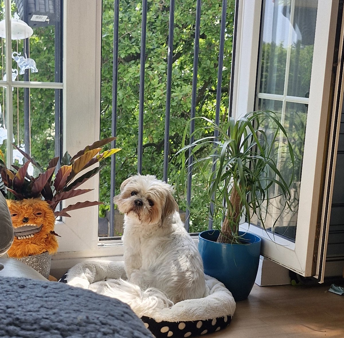 Stop shouting me and let me watch people 🤣🤣 happy Sunday! 🥰🥰