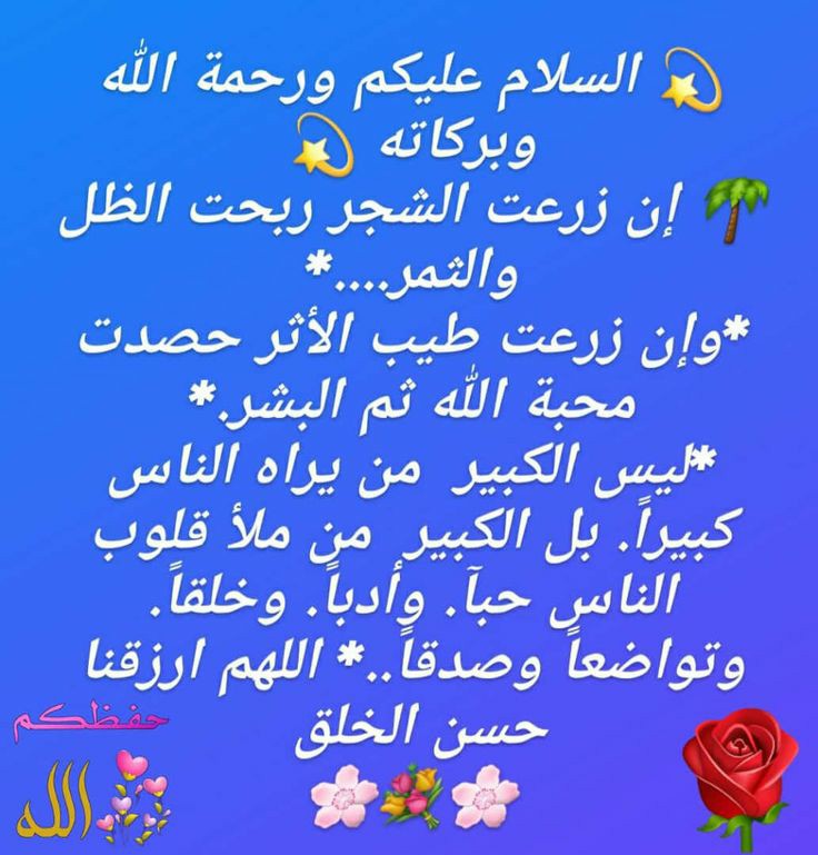 OmAlaa13558985's tweet photo. أمسينا وأمسى الملك لله، والحمد لله 🤲
    لاإلٰه إلاالله وحده لا شريك له، له الملك،
    وله الحمد، وهو على كل شيء قدير 🤲🌸 
#داعم_للخير https://t.co/704xIOu148