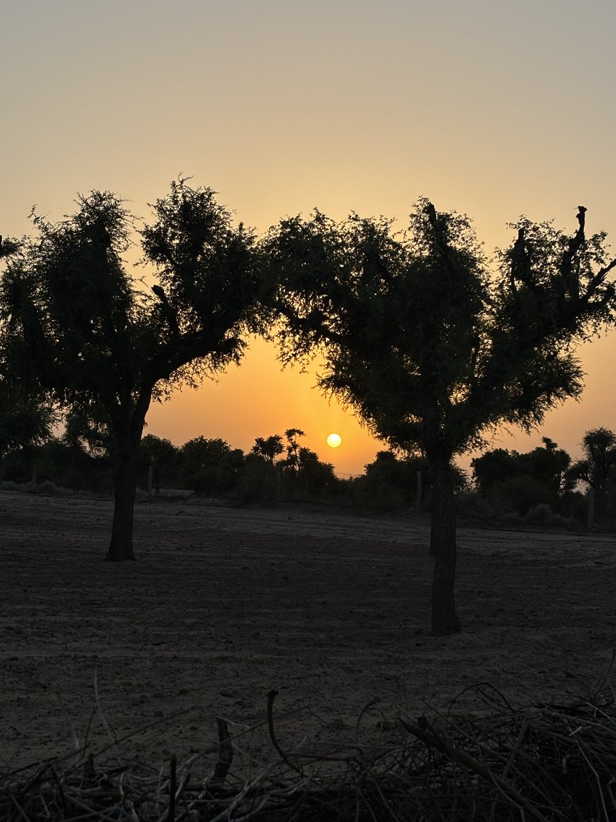 प्रकृति का अद्भुत सौंदर्य ... 
शाम नजारा 🌳🌅