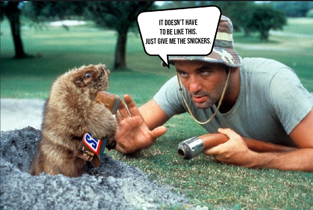 We back. And we are eating  all the snickers we want.
Join our TG  t.me/Snickers_CTO and find  out first what is  in store for  the  snickerhead community. 
Team is cooking something real special so.... HANDS UP
#sol #memecoins #crypto #snickers