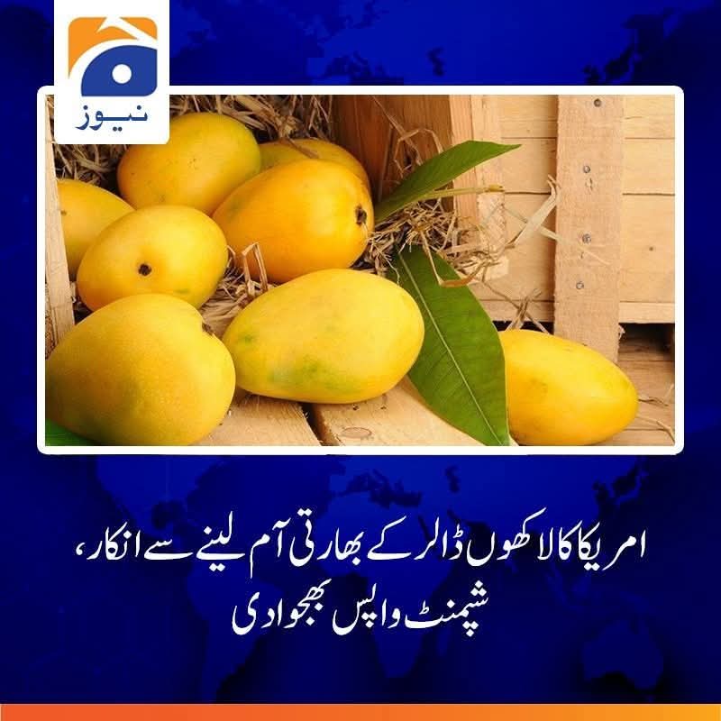 <a href="/miannazim029/">MNA</a> رافیل کو چھوڑیں آموں کی مارکیٹ بھی گر گئی 🤣