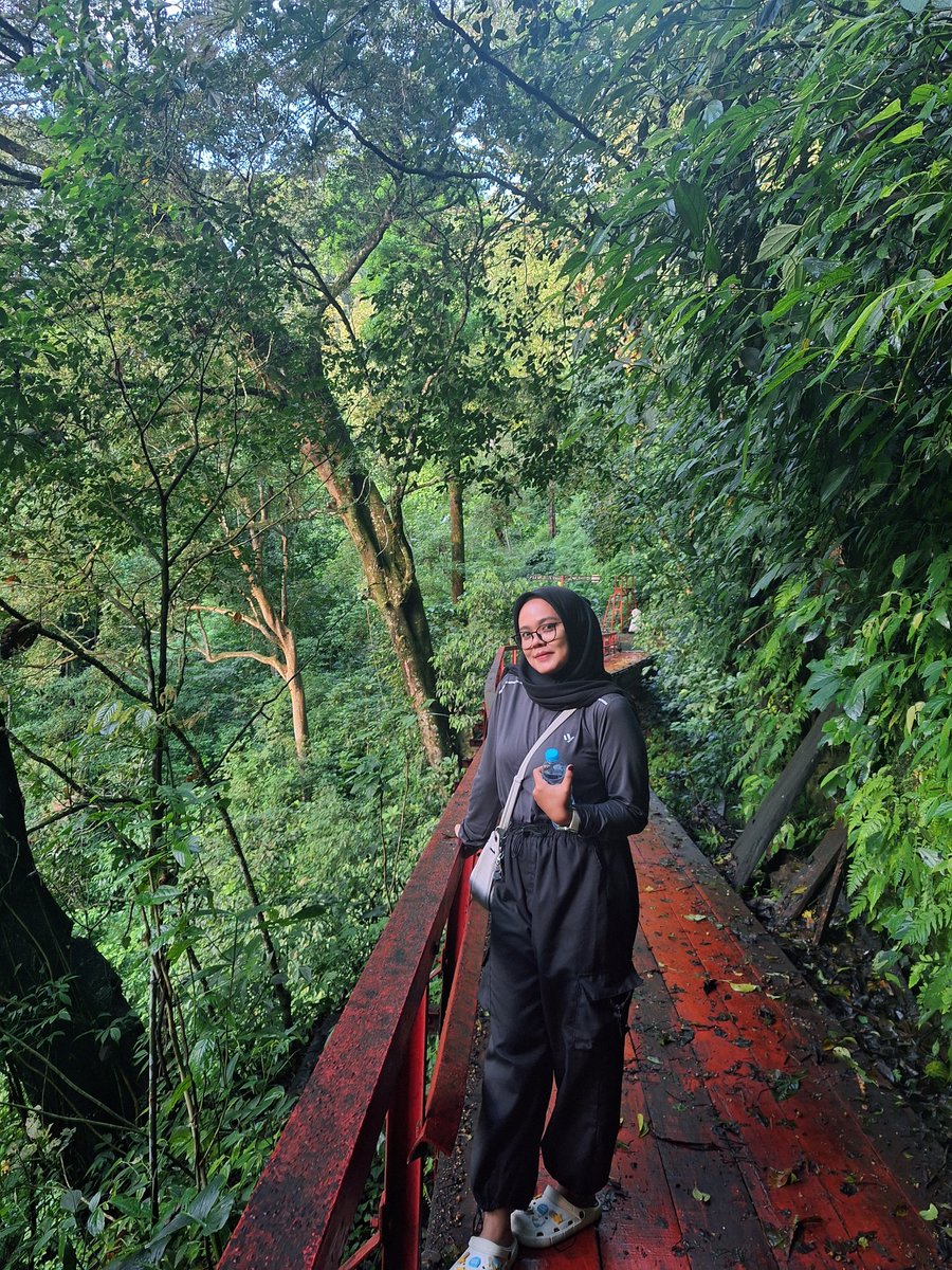 nanads🦕 tweet media