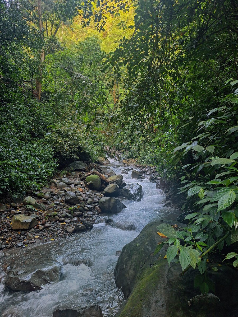 nanads🦕 tweet media