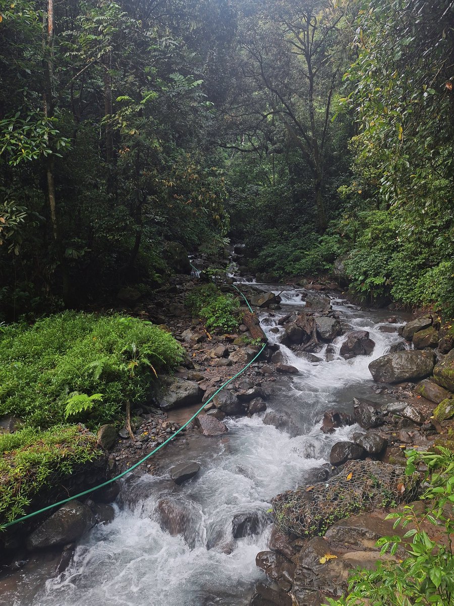 nanads🦕 tweet media