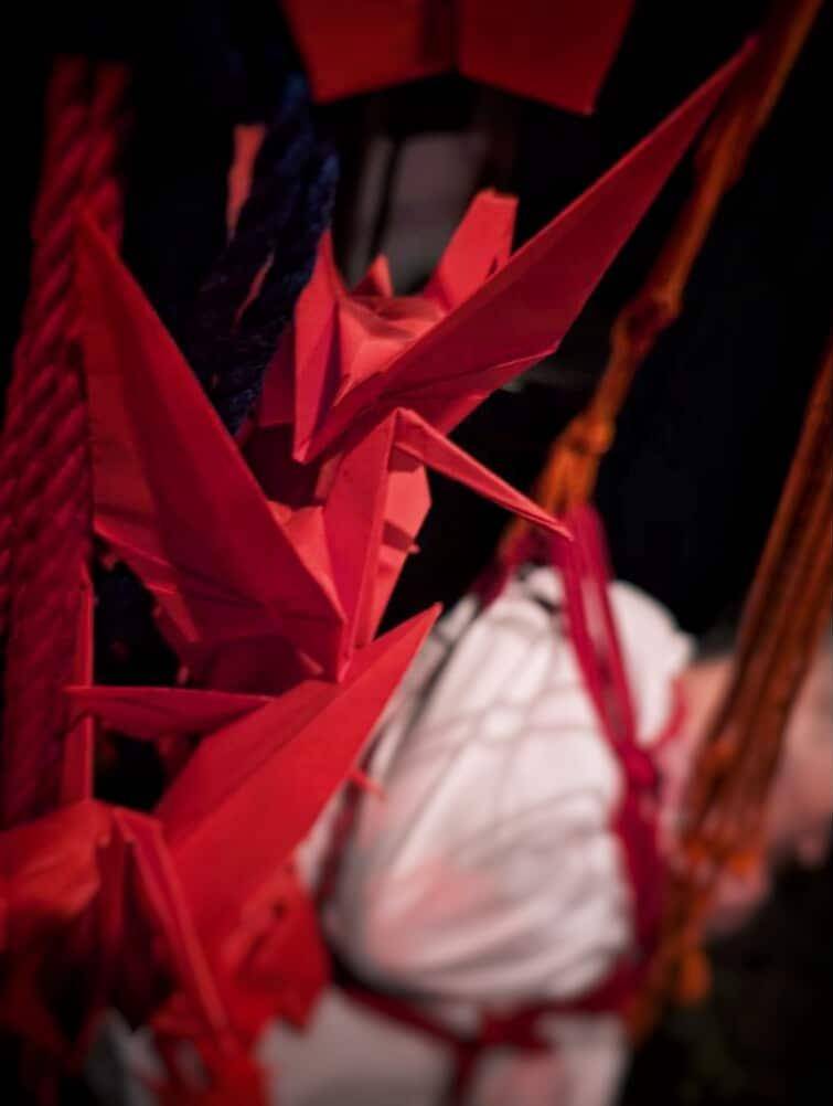 5/20（二）
會在Commander D.繩縛不羈夜駐點
這次會用大量的紙鶴結合繩縛
想體驗的朋友可以來
跟著紙鶴一起飛
時間21:00~00:00
詳細資訊可參考底下連結
instagram.com/p/DJyxD-0Tn0j/
#shibari #bondage #Taipei #Ximen #rope #art