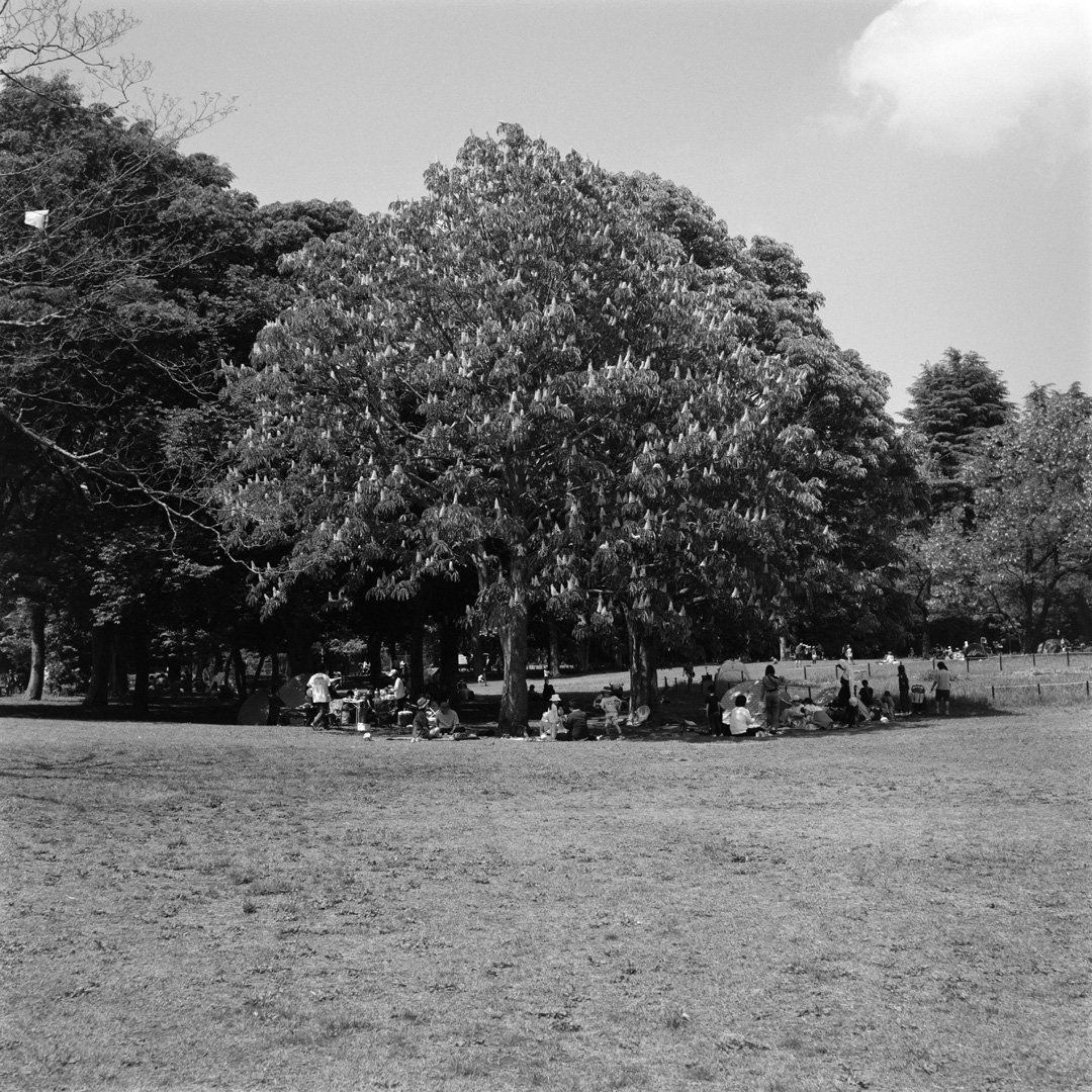 kei_arika's tweet photo. Days.
小金井公園 2025.05
Rolleiflex Standard / Tessar 7.5cm F3.8 / FP4 PLUS
#rolleiflex #rolleiflexstandard #rollei #carlzeiss #tessar #ilford #fp4plus #filmphotography https://t.co/SX9n8oQfsX