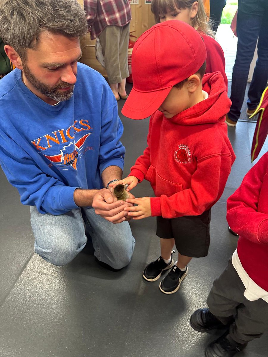 FoAS_PTA's tweet photo. Duckling cuteness π #experiencesforkids #pta #friendsof #ptapurchase https://t.co/R3K1tRsbrl