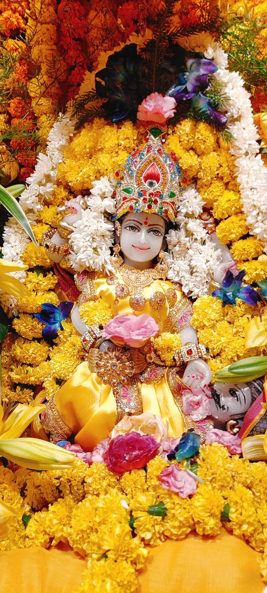 🙏 जय माई की 🙏