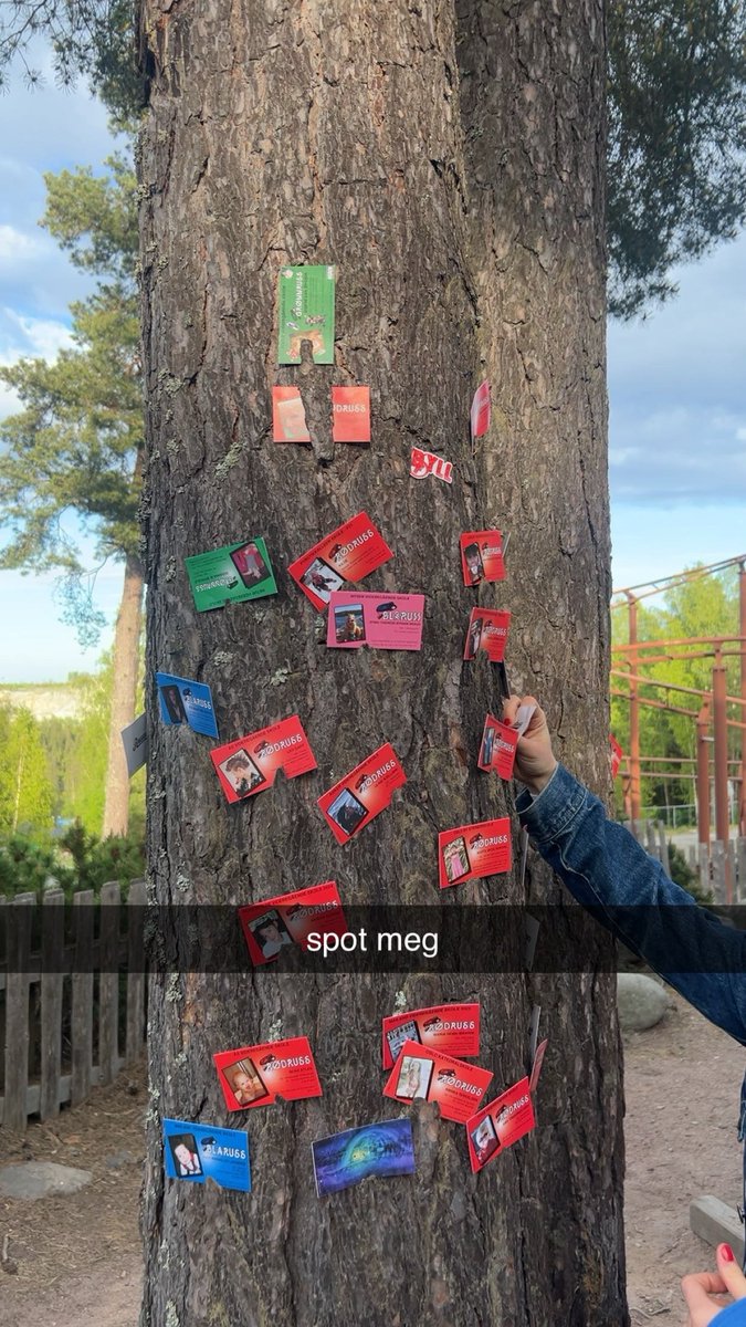 🇳🇴en dag for sen gratulerer med dagen til alle mine norske, og leeeenge leve rt❣️