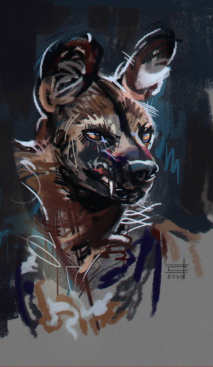 African Wild Dog study