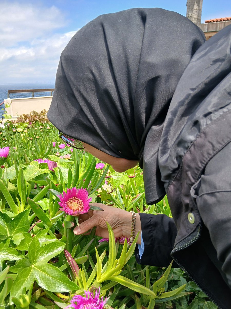 Hoşçakal Yassı Ada🥺