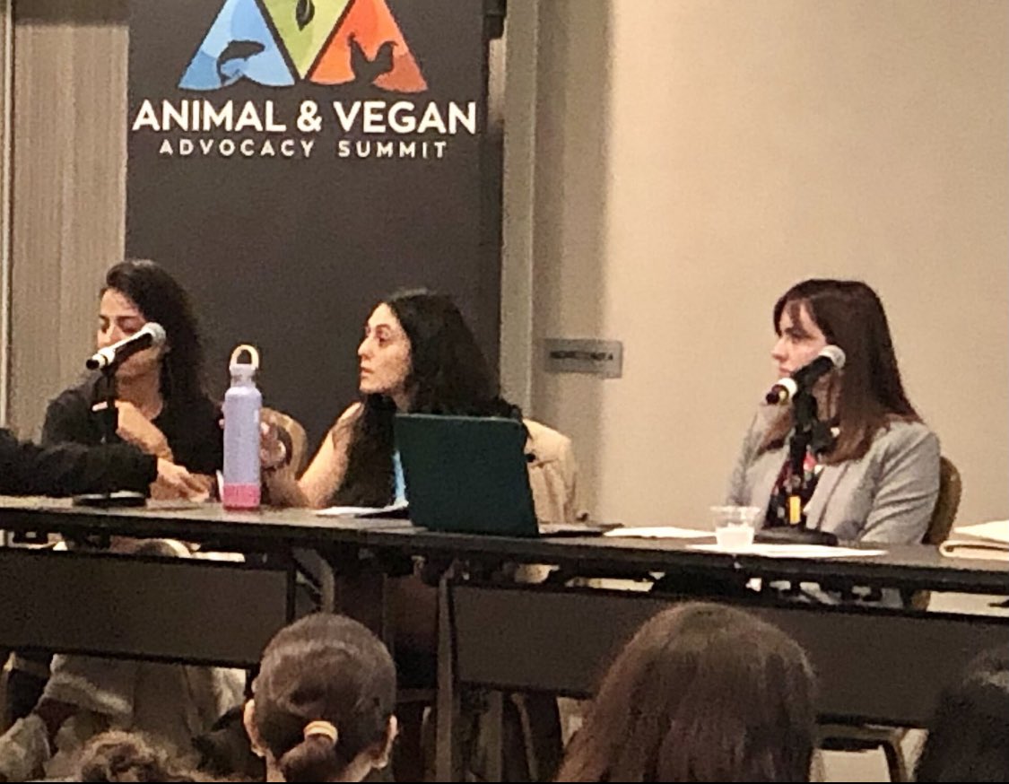 AnimalJusticers's tweet image. 💥Aquatic animals are the invisible victims of the largest zoocide on Earth 🌍❌🐟

🎤🌊Yesterday, at the Animal &amp;amp; Vegan Advocacy (AVA) Summit Panel on Aquatic Animal Advocacy, powerful truths were shared. It’s time the world listens.
#AquaticAnimalAlliance #WorldAnimalJustice