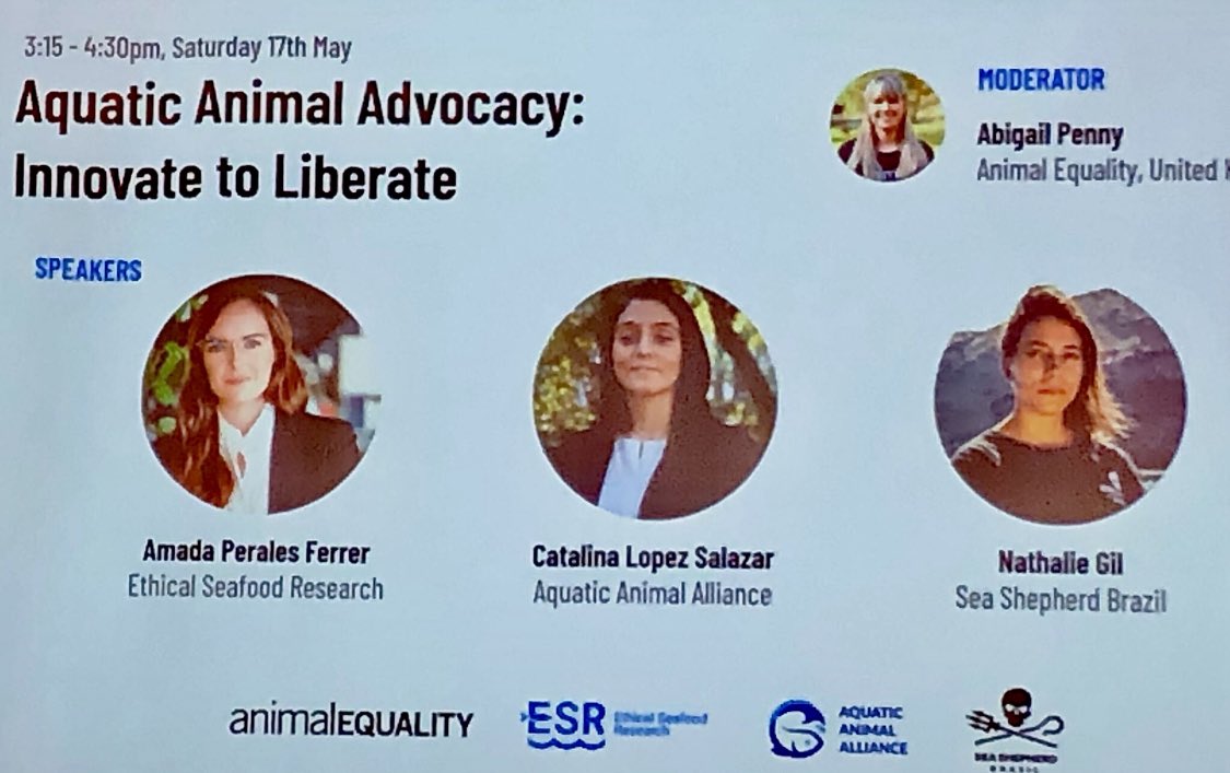 AnimalJusticers's tweet image. 💥Aquatic animals are the invisible victims of the largest zoocide on Earth 🌍❌🐟

🎤🌊Yesterday, at the Animal &amp;amp; Vegan Advocacy (AVA) Summit Panel on Aquatic Animal Advocacy, powerful truths were shared. It’s time the world listens.
#AquaticAnimalAlliance #WorldAnimalJustice