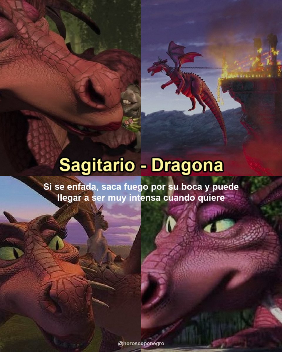 sagitario_hn's tweet photo. Qué personaje de Shrek eres según tu signo 🔮♐️ https://t.co/BRd3HnRSxy
